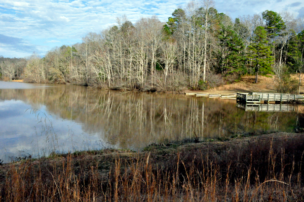 reflections on the lake