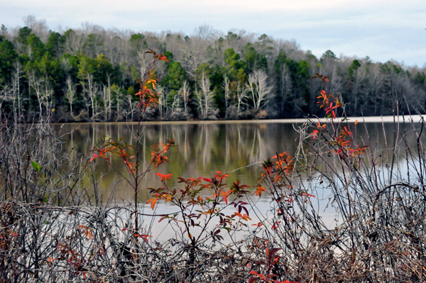 the fishing lake