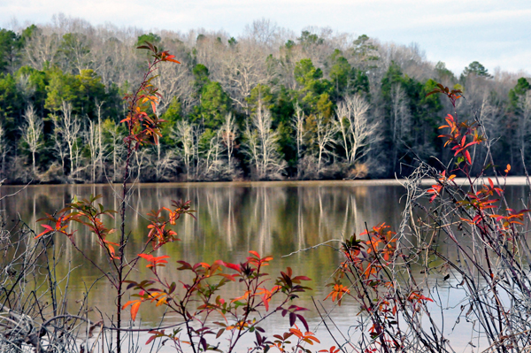 the fishing lake