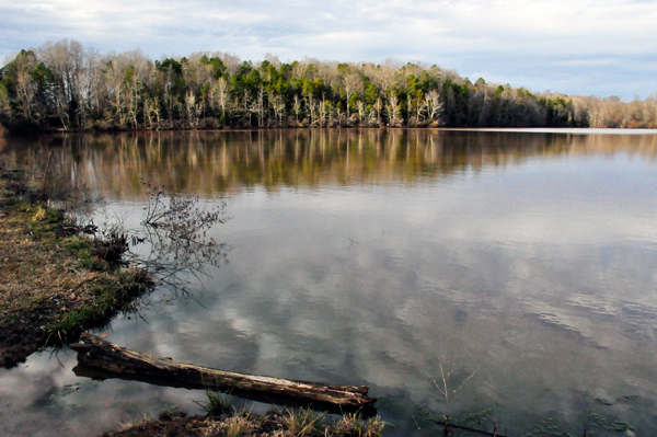 reflections on the lake