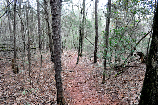 hiking trail at Andrew Jackson State Park