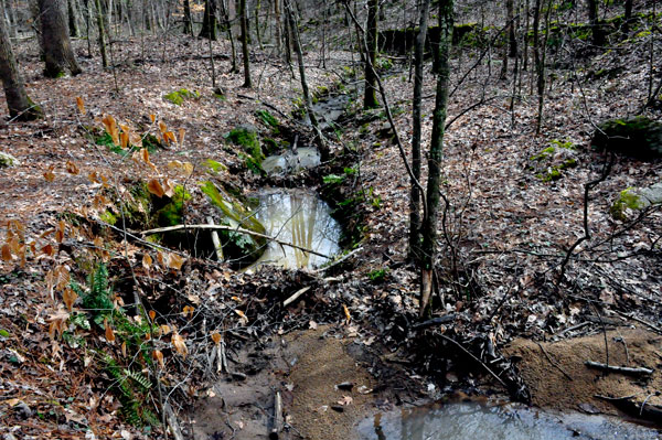 creek along Pine Hollow Trail