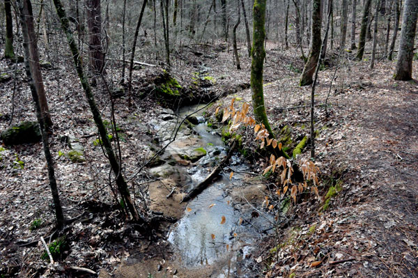 creek along Pine Hollow Trail