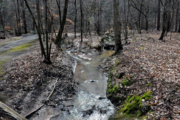 creek along Pine Hollow Trail and the road