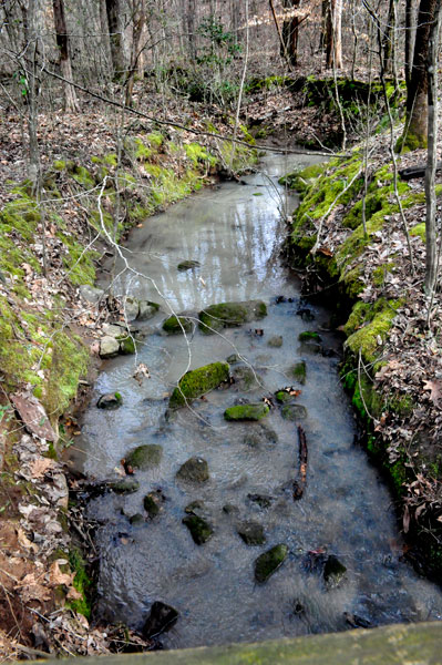 creek along Creekside Trail