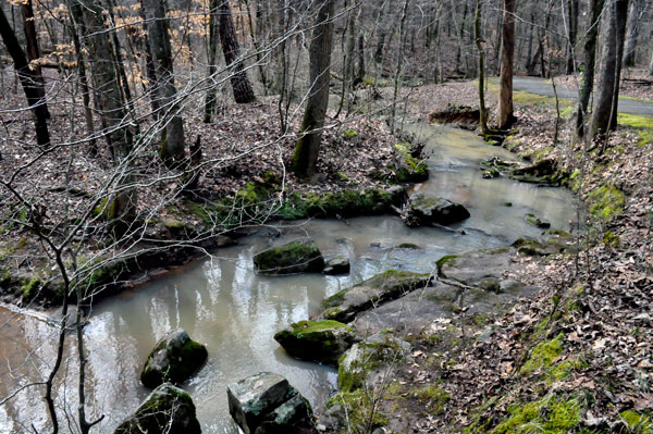 creek along Creekside Trail