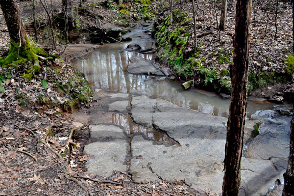 creek along Creekside Trail