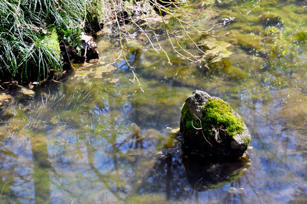 landscaping - water and rocks