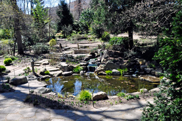 pond and waterfall