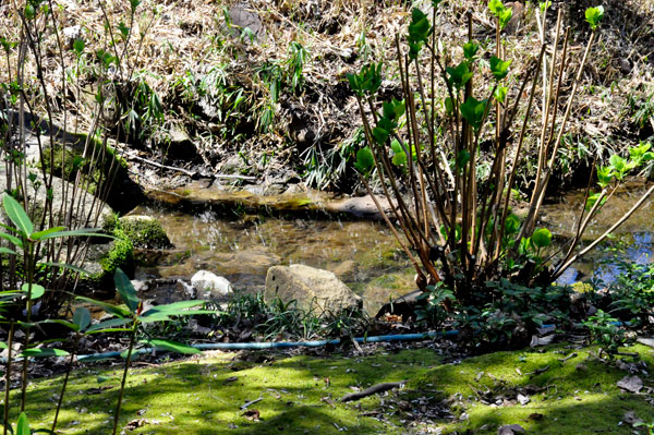 landscaping - water and rocks