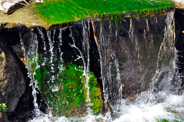 close up of a waterfall