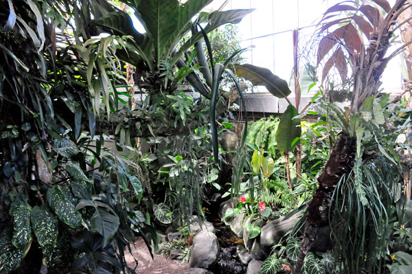 plants in the sun room of the Greenhouse