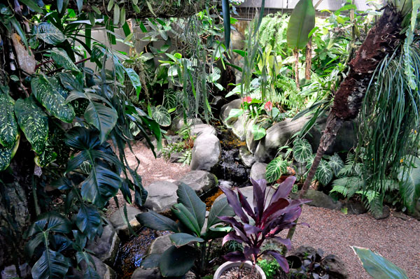 in the sun room of the Greenhouse