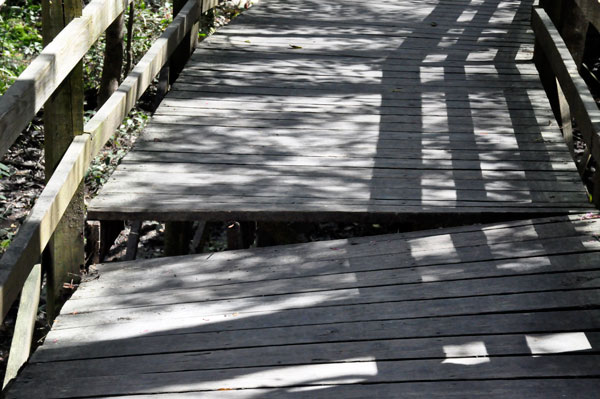 broken slats on the boardwalk