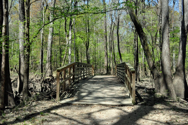 bridge on the trail