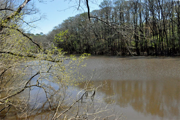 Weston Lake