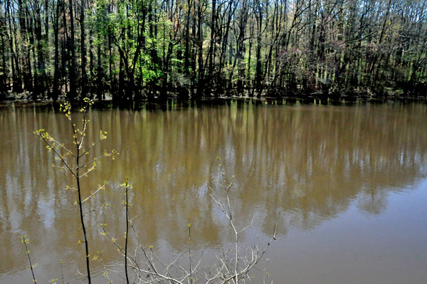 reflections in Weston Lake