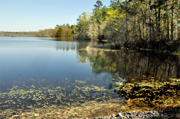 Wateree River