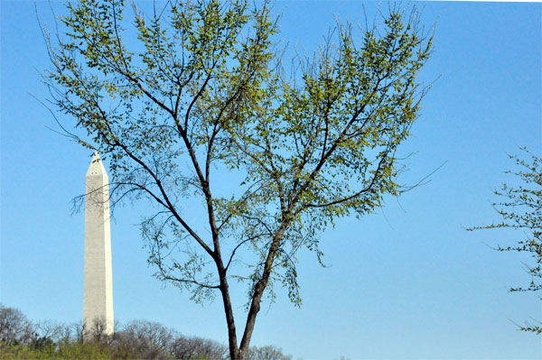 Washington Monument