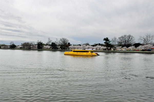 another tourist boat on the water