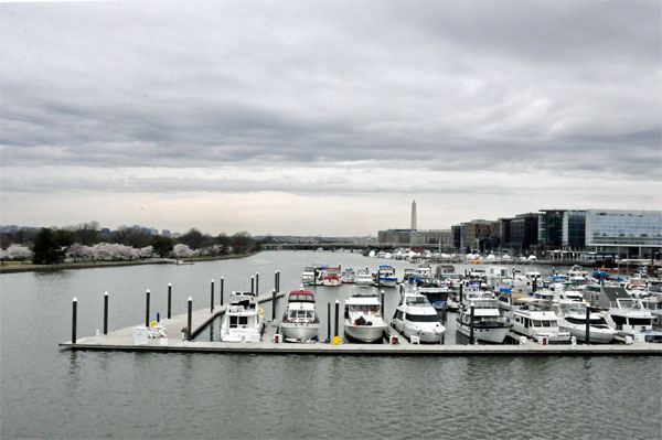 boats docked