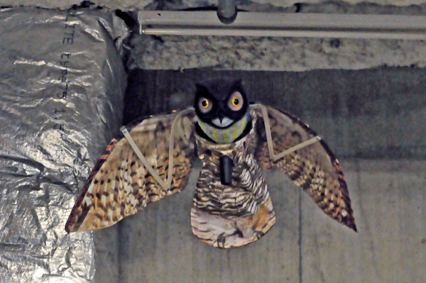 Ugly, fake owl