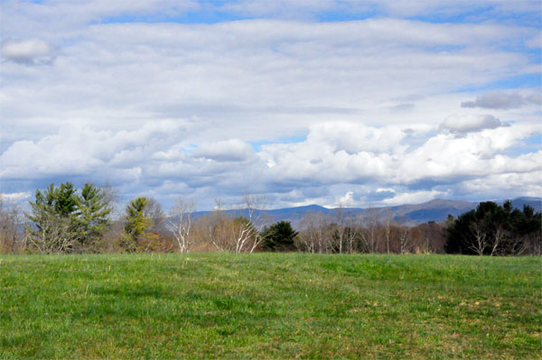 scenery behind the Big Chair at Boxerwood