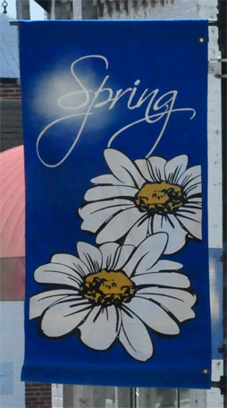 Spring flag