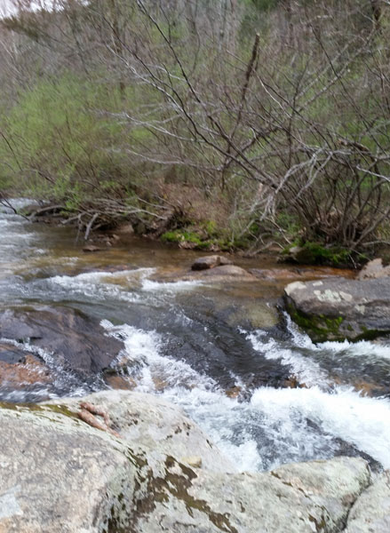 Panther Falls