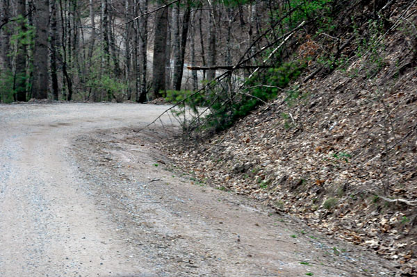 curves on Panther Falls Road