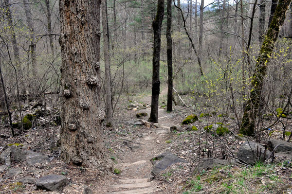 hiking to Panther Falls