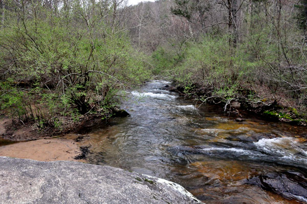 Pedlar River flowing