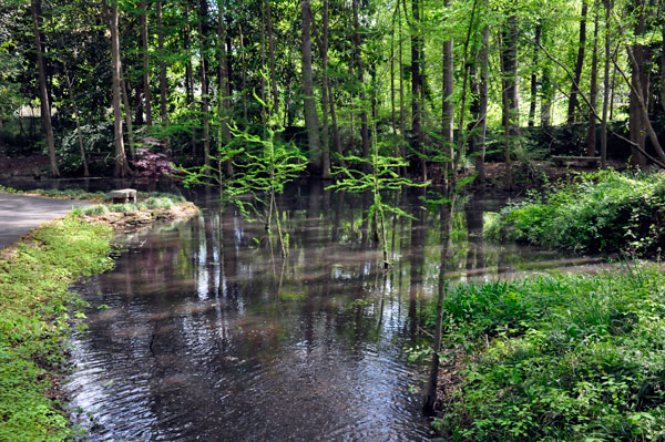 reflections in the water