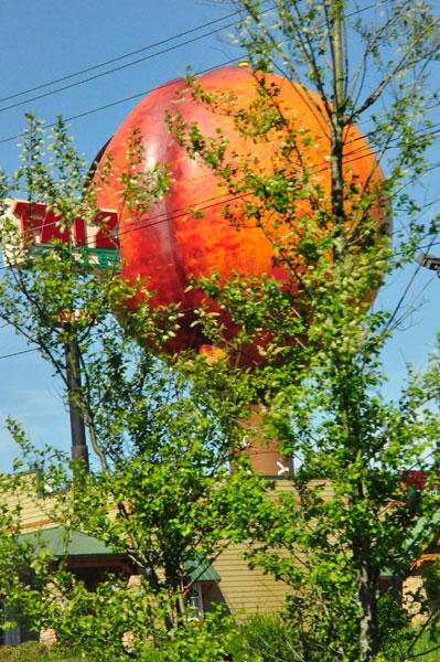 The Peachoid 2019