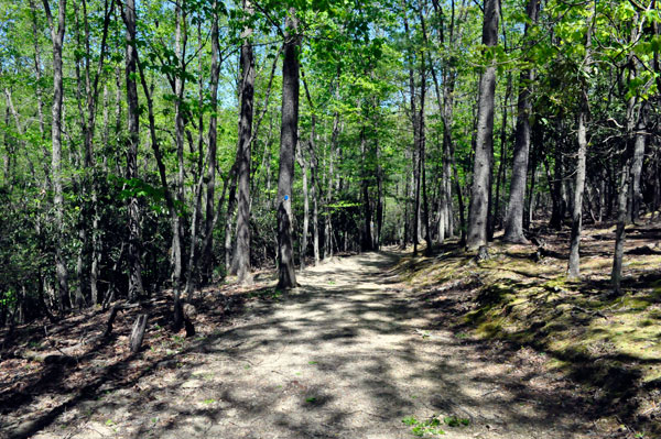 hiking trail at Stone Mountain State Park