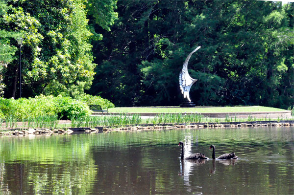 Recovery Sculpture and swams