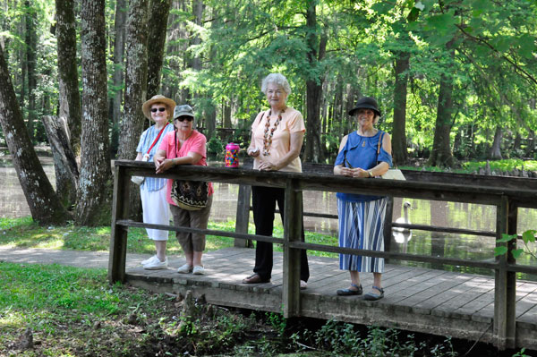 friends on the bridge