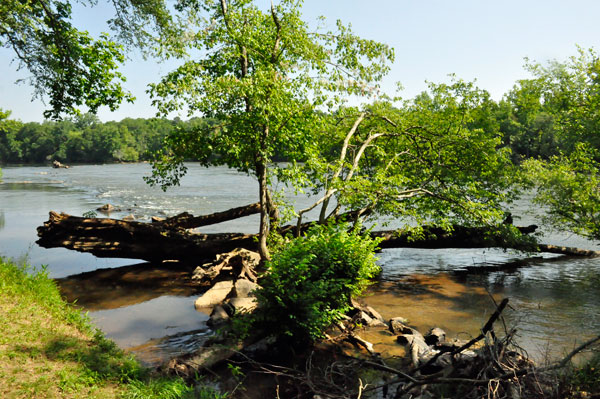 The Catawba River