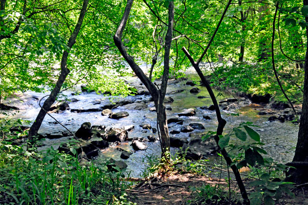 The Catawba River