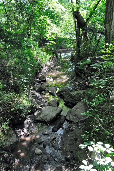 creek along the trail