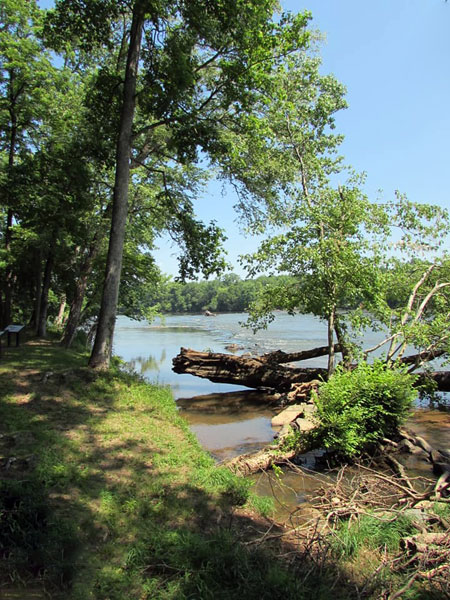 The Catawba River