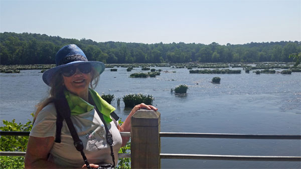 Karen Duquette and the Spider Lilies