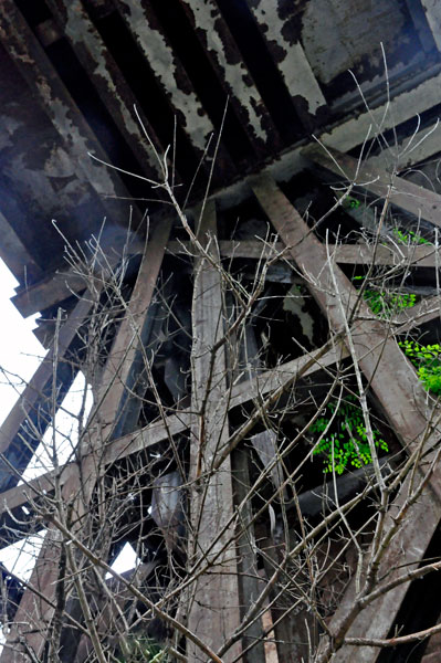 looking up under the railroad trestle