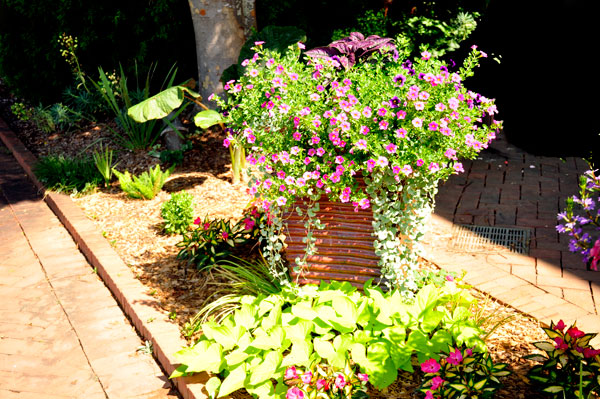 flowers in flower pots