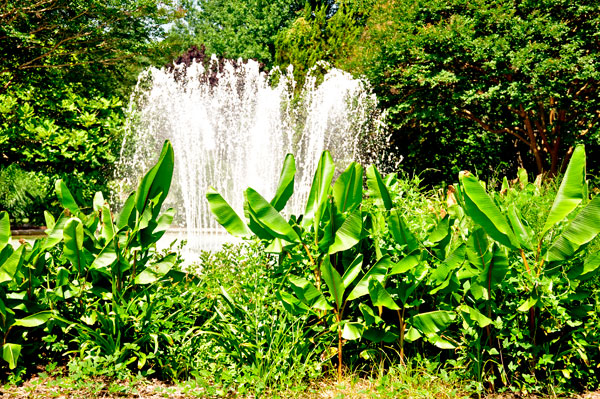 water fountain