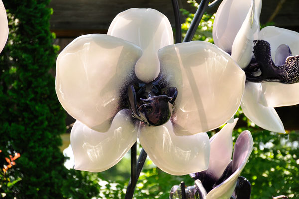 white and purple Cattleya glass flowers