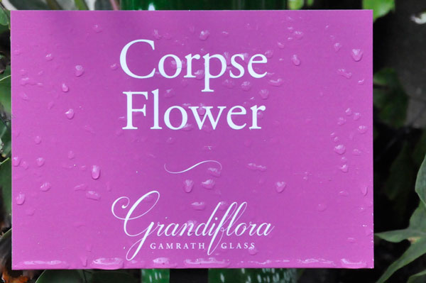 Corpse Flower sign
