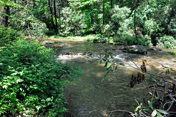 Looking Glass Creek