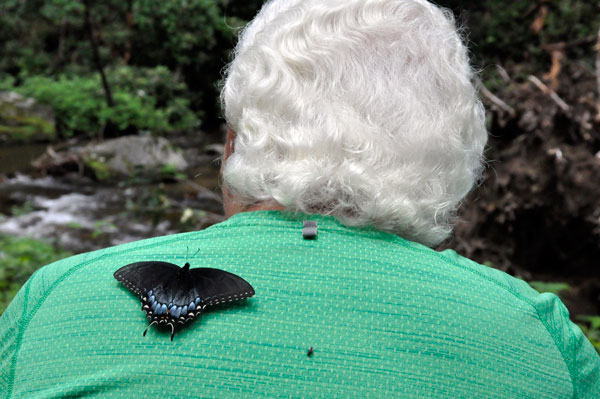 Butterfly and fly on Lee Duquette's back