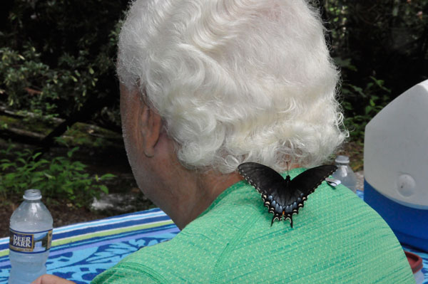 Butterfly on Lee Duquette's back